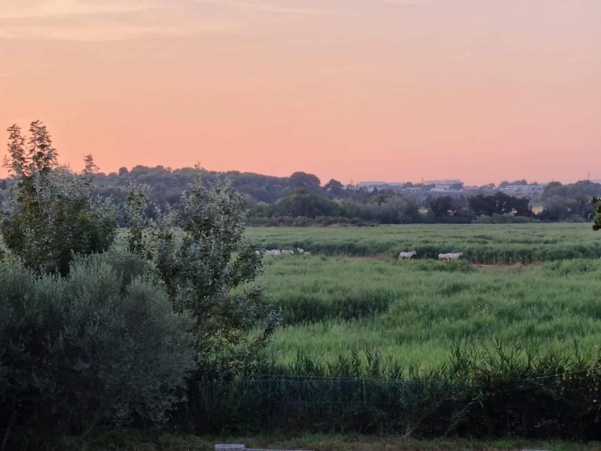 Gites De L'Estagnol Villeneuve-lès-Maguelonne Kültér fotó