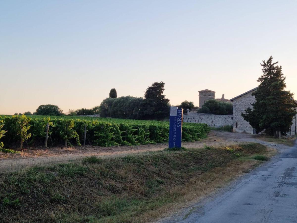 Gites De L'Estagnol Villeneuve-lès-Maguelonne Kültér fotó