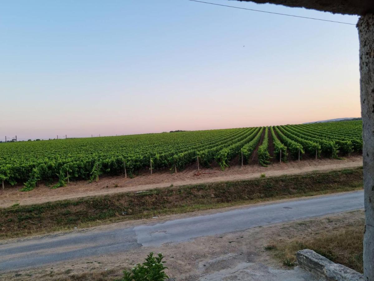 Gites De L'Estagnol Villeneuve-lès-Maguelonne Kültér fotó